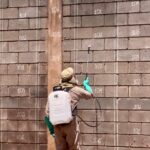 WhatsApp Image 2026-03-12 at 15.57.26 (2)